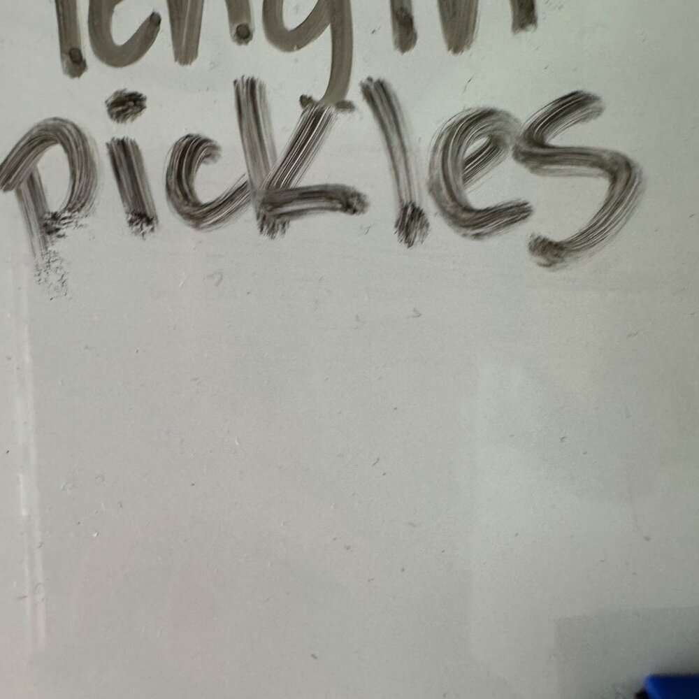 Patagonia  Mens Size L  Vintage River Short Liner Baggies - Picture 11 of 11